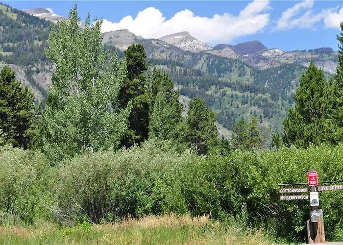 Rmr: Chokeberry 3814 In The Aspens *